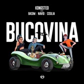 Bucovina (feat. Basim, Navid, Cisilia & Shantel) artwork