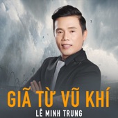 Gĩa Từ Vũ Khí artwork