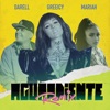 Aguardiente (Remix) - Single