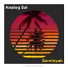 Seminyak - Single album lyrics, reviews, download