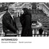 Giovanni Mirabassi - Il poeta