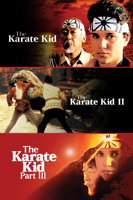 Sony Pictures Entertainment - Karate Kid Trilogy artwork