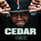 Answers - Cedar lyrics