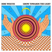 Dire Wolves - Crack in the Cosmic Axis