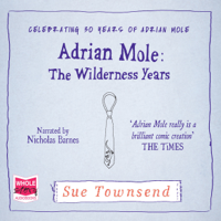 Sue Townsend - Adrian Mole: The Wilderness Years: Celebrating 50 Years of Adrian Mole artwork