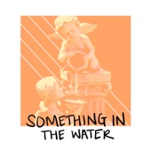 Something in the Water artwork