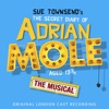 Sue Townsend's The Secret Diary of Adrian Mole Aged 13 3/4 - The Musical (Original London Cast Recording)