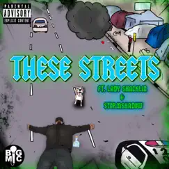 These Streets (feat. Lady Shacklin & Stormshadow) - Single by Big Mic album reviews, ratings, credits