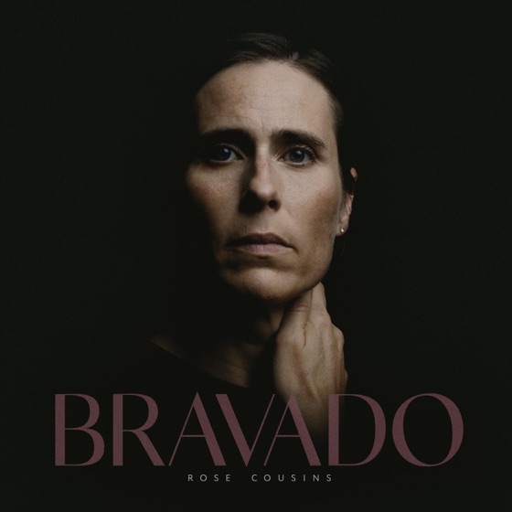 Cover artwork for The Fraud