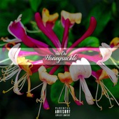 Honeysuckle artwork