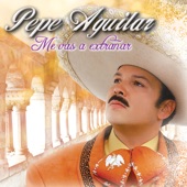 Pepe Aguilar - Me Vas a Extrañar