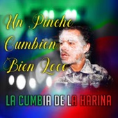 Un Pinche Cumbion Bien Loco La Cumbia De La Harina artwork