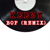 Bop (Remix) artwork
