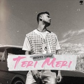 Teri Meri artwork