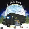 Field of Dreams album lyrics, reviews, download