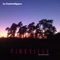 Pinkville (Raw Sessions Edition) - La Controfigura lyrics