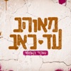 מאוהב עד כאב - Single