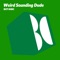 Botanic - Weird Sounding Dude lyrics