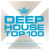 Deephouse Top 100, Vol. 9