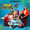 Me Llamas - Single