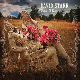 lataa albumi David Starr - Beauty Ruin