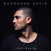 Can Kesiği artwork