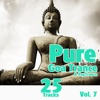 Pure Goa Trance & Psytrance, Vol. 7