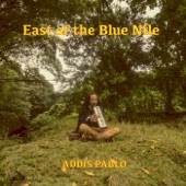 East of the Blue Nile artwork