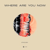 Where Are You Now (Extended Mix) artwork
