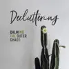 Decluttering: Calming the Outer Chaos, Create Inner Peace album lyrics, reviews, download