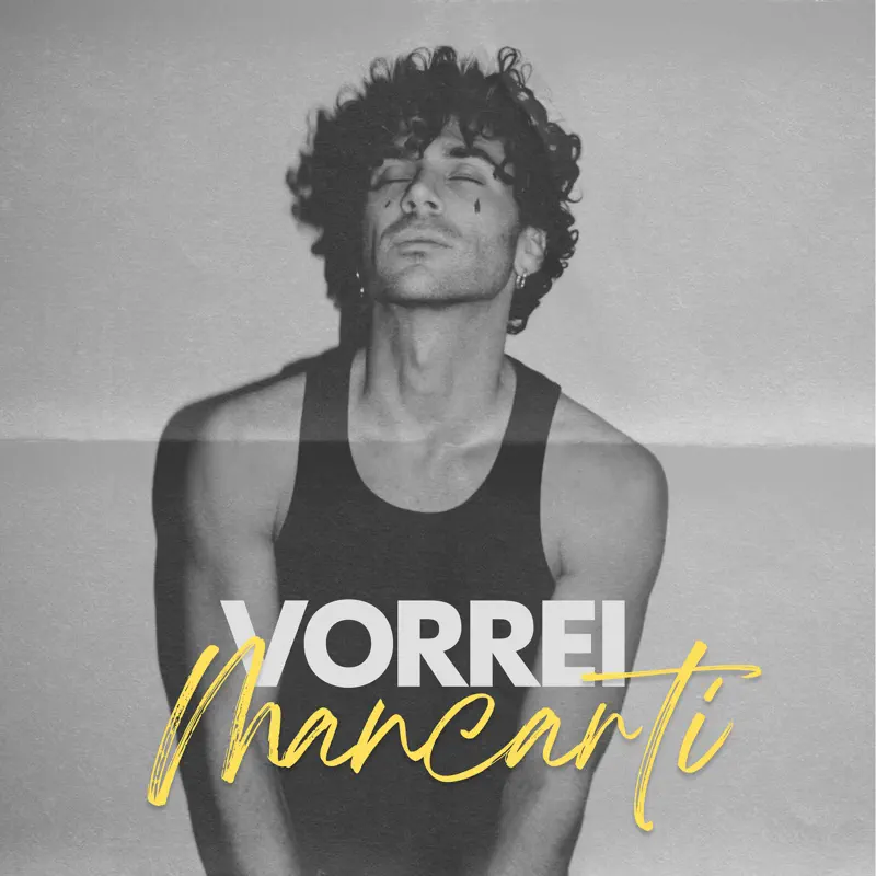 Luca Vismara - Vorrei Mancarti - Single (2023) [iTunes Plus AAC M4A]-新房子