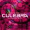 Culebra (feat. Alvin Brown Beats) - Sixto Rein lyrics