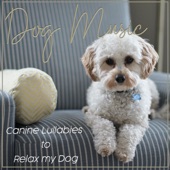 Dog Music: Canine Lullabies to Relax My Dog artwork