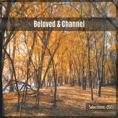 Beloved & Channel Selections 2022 by Mauro Pagliarino album reviews, ratings, credits