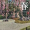 Butterfly (feat. Li-Hua Ensemble) - Missa Johnouchi lyrics