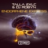 Endorphene Express - Single