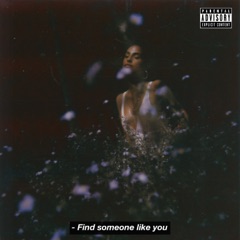 Find Someone Like You