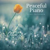 Peaceful Piano - Luke Faulkner
