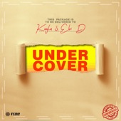 Undercover (with Ebi D) artwork