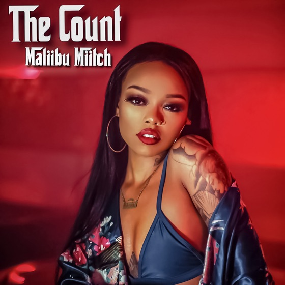 Cover artwork for The Count
