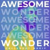 Awesome Wonder - Single