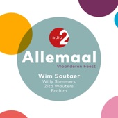 Allemaal (Vlaanderen Feest) artwork