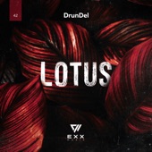 Lotus artwork