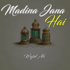 Madina Jana Hai - Single by Wajid Ali album reviews, ratings, credits