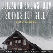 Blizzard & Snowstorm Sounds for Sleep: Best of (Loopable) artwork