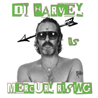 DJ Harvey - The Sound of Mercury Rising Vol. II artwork