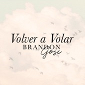 Volver a Volar artwork