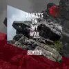 Always on My Way (feat. Na Polycat) - Single album lyrics, reviews, download