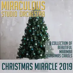 We Wish You a Merry Christmas (Marimba Remix) Song Lyrics