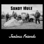 Jealous Friends (feat. Todd Hoffman) artwork